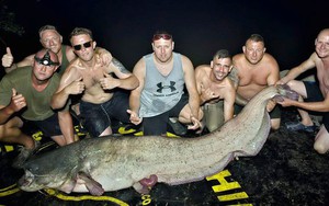 Bắt được cá trê khổng lồ ở Tây Ban Nha