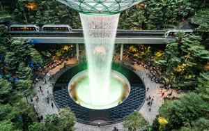 Tại Singapore, nhiều ứng dụng do một tập đoàn công nghệ Việt Nam phát triển được sử dụng rất phổ biến