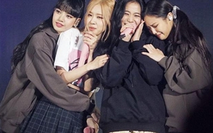 Fan BLACKPINK "than trời" vì mua vé, thanh toán xong lại nhận thông báo "không thành công"?