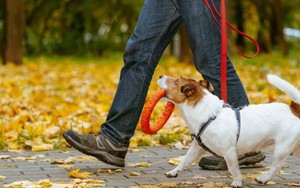 Dấu hiệu khi đi bộ giúp người đàn ông phát hiện căn bệnh ung thư nguy hiểm