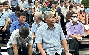 Chủ tịch Tập đoàn Mường Thanh Lê Thanh Thản mặc áo kẻ ca rô tới tòa