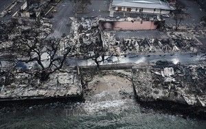 Mỹ: Thảm họa cháy rừng ở Hawaii khiến ít nhất 67 người thiệt mạng