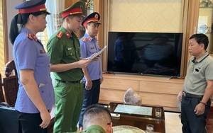 Sai phạm khiến Bí thư Huyện ủy Như Thanh và cựu Chủ tịch HĐQT cty Sông Mã bị bắt