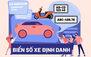 [Infographics] Thông tin chi tiết về biển số định danh