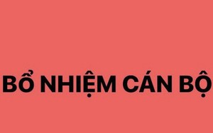 Bổ nhiệm ông Trịnh Mạnh Linh làm Trợ lý Thủ tướng Phạm Minh Chính