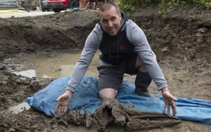 Một người đàn ông Scotland tìm thấy xương cá heo 8.000 năm tuổi khi đang đào bể bơi cho các con của mình