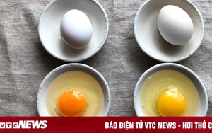 Lòng đỏ trứng gà màu đậm hay nhạt tốt hơn?