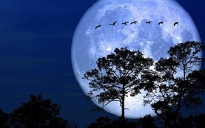 Siêu trăng lớn nhất năm sắp tỏa sáng bầu trời đúng dịp nghỉ lễ 2/9, ở Việt Nam có quan sát được?