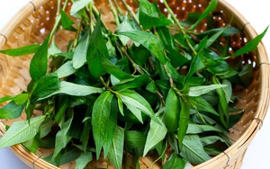 Thực hư tin đồn ăn rau răm làm giảm ham muốn, gây vô sinh