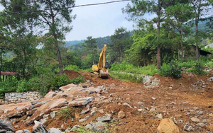Vụ hàng loạt ôtô "bị vùi lấp": Phá dỡ tuyến đường vi phạm