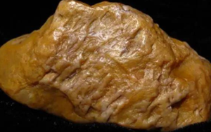 Sở hữu 2.000 tỷ sau một đêm nhờ việc đào măng trên núi