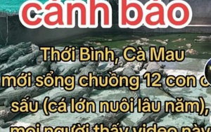 Sự thật vụ 12 con cá sấu sổng chuồng ở Cà Mau