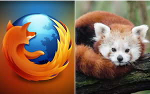 Ai cũng nghĩ biểu tượng trình duyệt FireFox là "Cáo lửa": Bất ngờ thay, đây hóa ra là con vật khác!