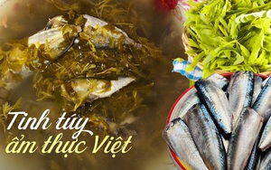Nhớ thương canh cá nục lá me non