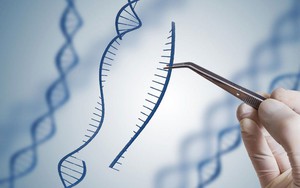 Bố thấy con tính cách khác mình, quyết xét nghiệm ADN: Kết quả đầy đau xót