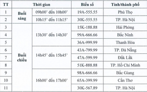 Sáng nay, đấu giá lại 11 biển số xe ô tô, người đã rút cọc có thể tiếp tục tham gia