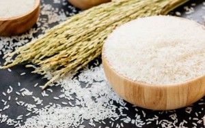 Mẹo bảo quản gạo để lâu không lo bị mọt
