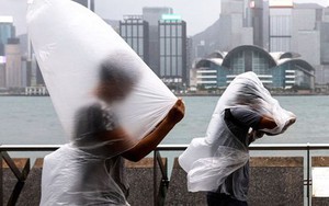 “Nín thở” theo dõi chiếc máy bay duy nhất dám đáp xuống Hồng Kông (Trung Quốc) giữa bão Saola
