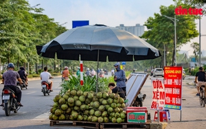 Đại lộ nghìn tỷ Hà Nội thành 'chợ' hoa quả di động