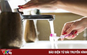 Đây là lý do tại sao bạn không nên để bàn chải đánh răng trong phòng tắm