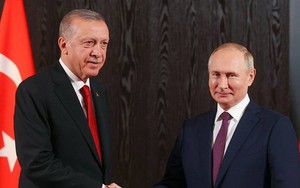 Tổng thống Thổ Nhĩ Kỳ đến Nga thảo luận về tương lai thoả thuận ngũ cốc