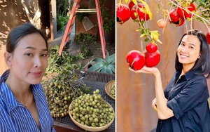 Đã mắt với vườn trái cây trong biệt thự của Hoa hậu Dương Mỹ Linh, có 1 góc đặc biệt ai xa quê cũng thích