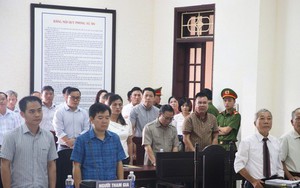 Kỳ án gỗ trắc ở Quảng Trị: Tòa bác đơn kiện Tổng Cục trưởng Hải quan của doanh nghiệp