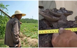 Ông lão 80 tuổi nhặt được "vật thể lạ" cứ tưới nước là lớn, chuyên gia tới tận nhà xem và kết luận bất ngờ