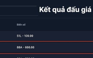 Biển số 88A-666.66 trúng đấu giá gần 30 tỷ đồng