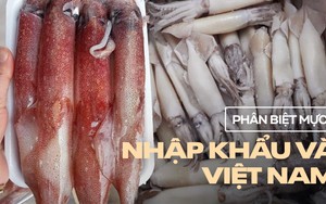 Phân biệt cực nhanh mực Việt và mực nhập khẩu để mua ăn Tết cho chuẩn