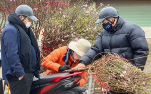 Người dân Thủ đô xuống phố 'săn' đào dăm, đào cành ngày Rằm tháng Chạp
