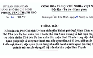 Kiểm điểm Chủ tịch UBND quận Bình Thạnh, thanh tra 4 địa chỉ nhà, đất
