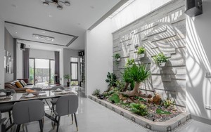 Mua cây cảnh về trưng Tết nhất định phải đặt ở 4 vị trí hút tài lộc, vận may này
