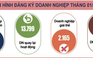 Có 13.500 doanh nghiệp thành lập mới trong tháng 1/2024