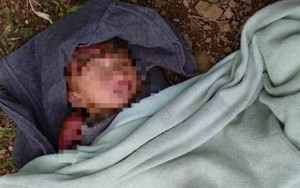 Phú Yên: Bé gái sơ sinh bị bỏ trong rừng keo, kiến bu quanh