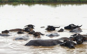 Siêu dự án 230ha trên “đất vàng” Hà Nội ôm đất gần 20 năm không triển khai, nay vào tay đại gia đến từ TPHCM