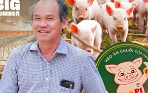 Vui đến “mất ngủ” khi phát hiện ra heo ăn chuối nhưng bất ngờ "dứt áo ra đi" chỉ sau 583 ngày, bầu Đức để lại gì cho Bapi HAGL?