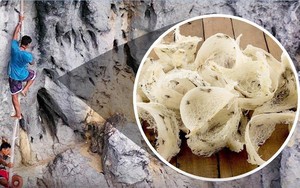 Mặt hàng trăm triệu USD của VN xuất lô đầu sang TQ: Nhu cầu hàng trăm tấn, 42/63 tỉnh có cơ hội làm giàu