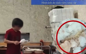 Phó Thủ tướng: Xử nghiêm sai phạm vụ bữa ăn sinh viên tại ĐH Bách Khoa Hà Nội