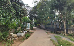 Nữ sinh lớp 8 ở Thanh Hóa bị hàng xóm xâm hại đến mang thai đôi: Bố mẹ đi làm ăn xa, ở nhà với ông bà