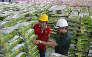 Top 3 xuất khẩu nhưng Việt Nam chỉ chiếm 5% lượng sản xuất mặt hàng này trên toàn cầu