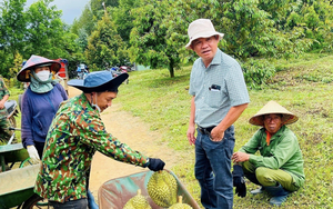 Các mảng kinh doanh "đi lùi", Hoàng Anh Gia Lai vẫn báo lãi tăng trưởng