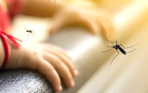 Bé trai 7 tuổi tử vong do sốt xuất huyết Dengue