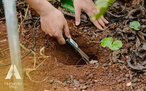 “Giờ đây cục đất, cái cây đã biết nói năng”: Một công nghệ giúp Việt Nam tránh lãng phí gần 4 tỷ USD/năm