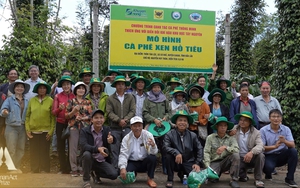 Sở hữu công thức thông minh, người dân trồng “loại cây 6 tỷ đô” cười tươi dù bị ảnh hưởng biến đổi khí hậu