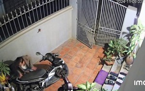 Bức ảnh ông ngoại lọ mọ làm 1 việc từ 3h sáng khiến nhiều người bật khóc