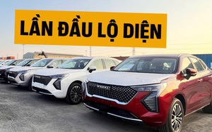 Lô Haval Jolion đầu tiên cập cảng Việt Nam: 2 phiên bản phân biệt được từ ngoại hình, có điểm khác bản Thái, dễ ra mắt tháng này đấu Corolla Cross