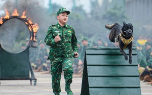 Điều đặc biệt đội quân khuyển tham gia trình diễn tại Triển lãm Quốc phòng quốc tế Việt Nam