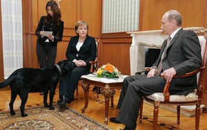 "Angela, hãy tha thứ cho tôi": Đây là lý do ông Putin công khai xin lỗi cựu Thủ tướng Đức Merkel