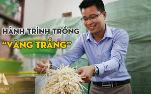 Tiến sĩ Nano đi trồng ‘vàng trắng’ thu 1 tỷ đồng/tháng: Nhờ thứ được chứng nhận sở hữu trí tuệ Việt